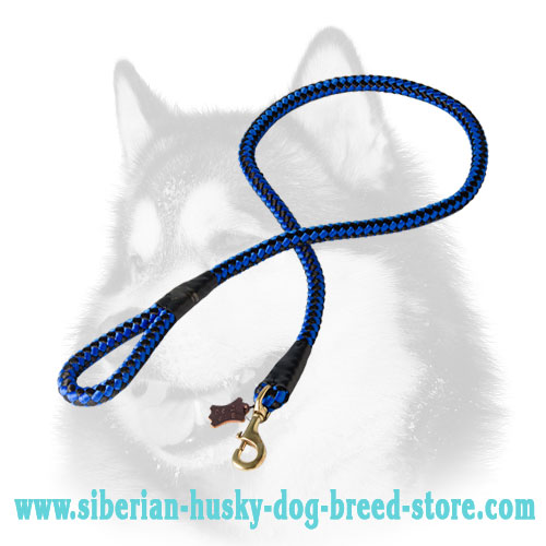 Perfect quality cord nylon dog leash