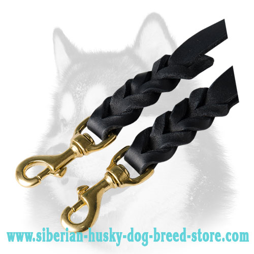 Dog coupler for walking 2 Siberian Husky