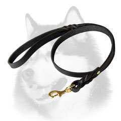 Leather leash with brass plated snap hook