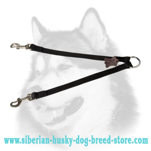 Siberian Husky nylon coupler for walking 2 dogs