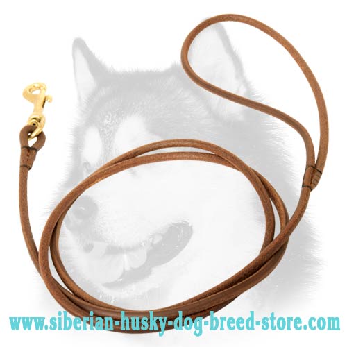 Siberian Husky leather dog leash rounded design
