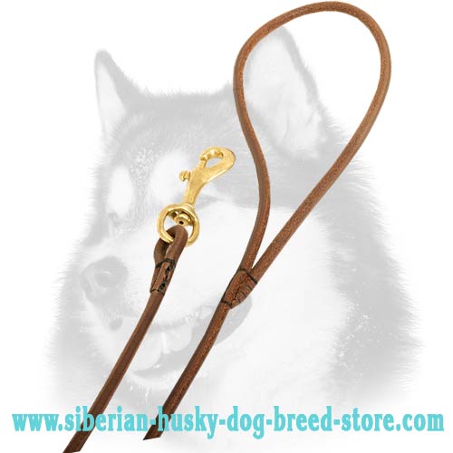 Siberian Husky leather dog leash with durable brass plated snap  hook