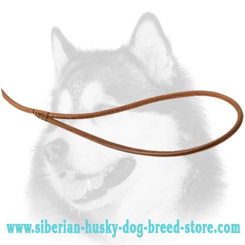 Siberian Husky leather dog leash with loop for handling