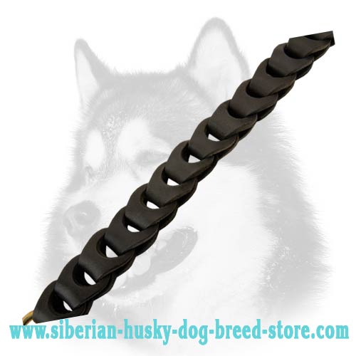 Siberian Husky leather dog leash with unusual braiding
