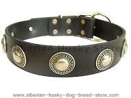 Leather Dog Collar with Silver Conchos