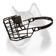 Winter walking wire muzzle