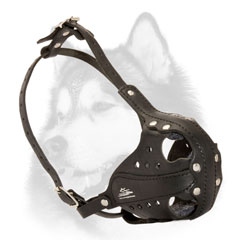 Leather dog muzzle for Siberian Husky agitation training