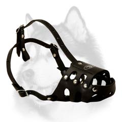 Extra ventilated leather muzzle for Husky