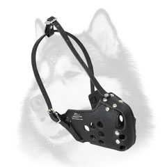 Absolute reliability leather dog muzzle for Siberian Husky