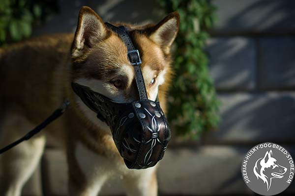 Handpainted genuine leather muzzle