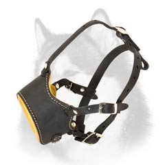 Siberian Husky adjustable leather muzzle