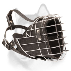Siberian Husky metal dog muzzle leather lined