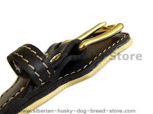 Dog Collar Padded