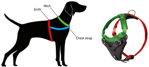 different kinds of dog harnesses