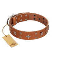 "Dreamy Gleam" FDT Artisan Tan Leather Siberian Husky Collar Adorned with Stars and Squares