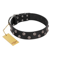 "Power-Flower" FDT Artisan Black Leather Siberian Husky Collar with Two Rows of Silver-like Studs with Engraved Flowers