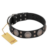 "Sun in Shining" Modern FDT Artisan Black Leather Siberian Husky Collar with Studs and Stars