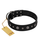 "Mr. Elegance" Designer FDT Artisan Black Leather Siberian Husky Collar with Silver-Like Studs