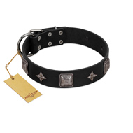 "Black Cavalier" Handmade FDT Artisan Black Leather Siberian Husky Collar with Silver-Like Stars and Large Plates