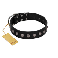 "Silver Flower" Exclusive FDT Artisan Black Leather Siberian Husky Collar with Silver-Like Studs