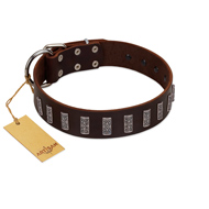 "Brown Lace" Handmade FDT Artisan Brown Leather Siberian Husky Collar for Everyday Walks