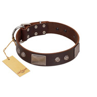 "Stone Stars" Stylish Handmade FDT Artisan Brown Leather Siberian Husky Collar