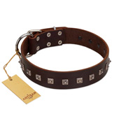 "Kingly Grace" FDT Artisan Brown Leather Siberian Husky Collar with Silver-like Dotted Studs