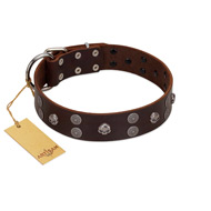 "Skull Valley" Handcrafted FDT Artisan Brown Leather Siberian Husky Collar with Skulls