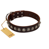 "Gothic Style" FDT Artisan Fancy Brown Leather Siberian Husky Collar with Silver-Like Decorations