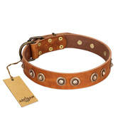 "Precious Relic" FDT Artisan Tan Leather Siberian Husky Collar Adorned with Old Bronze Look Studs