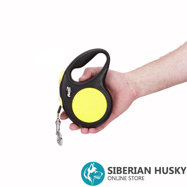 Daily Use Retractable Leash Neon Style for Total Safety