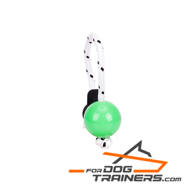 Dog training ball with black magnets
