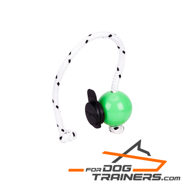 Dog training ball