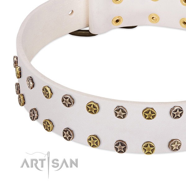 Extraordinary adornments on full grain natural leather collar for your dog