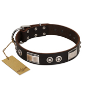 "Baller Status" FDT Artisan Brown Leather Siberian Husky Collar Adorned with a Set of Chrome Plated Studs and Plates