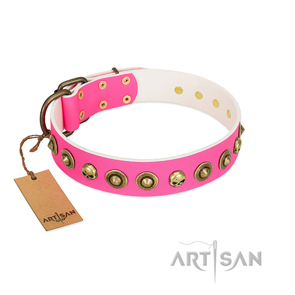 Unique natural leather dog collar with corrosion resistant decorations