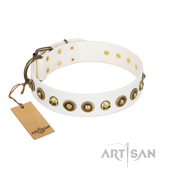 Full grain leather collar with fashionable decorations for your pet