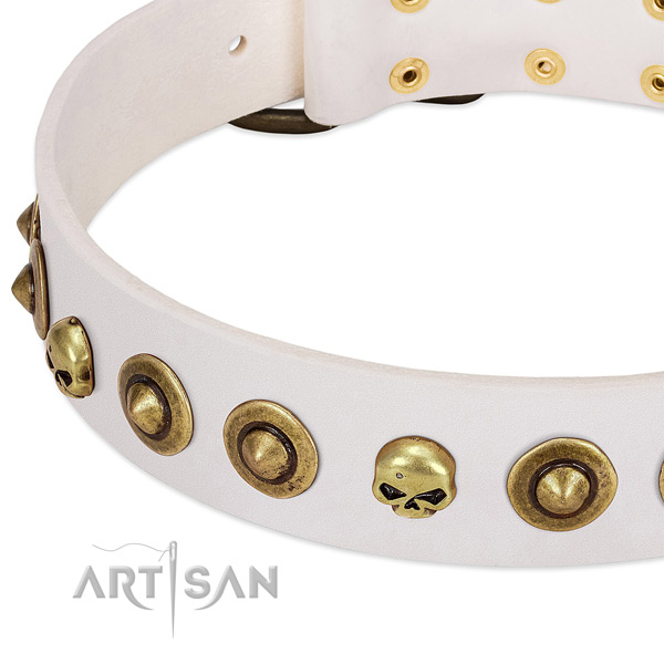 Remarkable decorations on genuine leather collar for your canine
