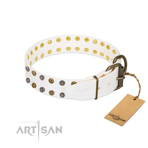 Trendy full grain genuine leather dog collar with corrosion proof adornments