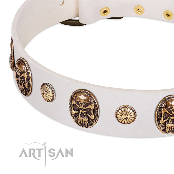 Durable adornments on full grain natural leather dog collar for your canine