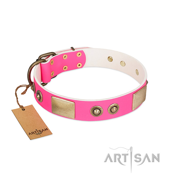 Reliable traditional buckle on full grain natural leather dog collar for your four-legged friend