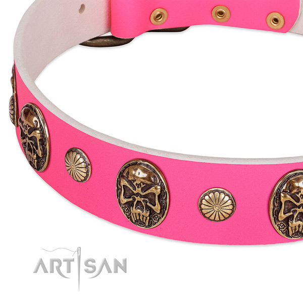 Rust resistant adornments on full grain natural leather dog collar for your canine