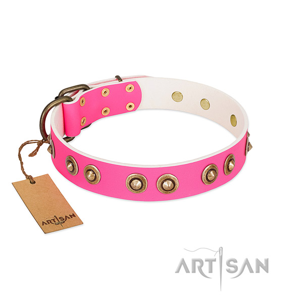 Incredible genuine leather dog collar for easy wearing