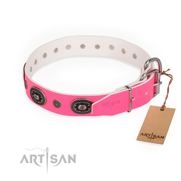 Everyday walking extraordinary dog collar with strong fittings
