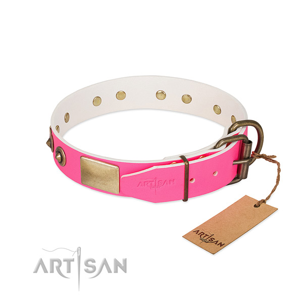 Durable embellishments on leather dog collar for your pet