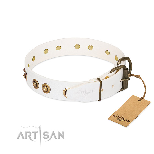 Corrosion proof hardware on full grain natural leather dog collar for your pet