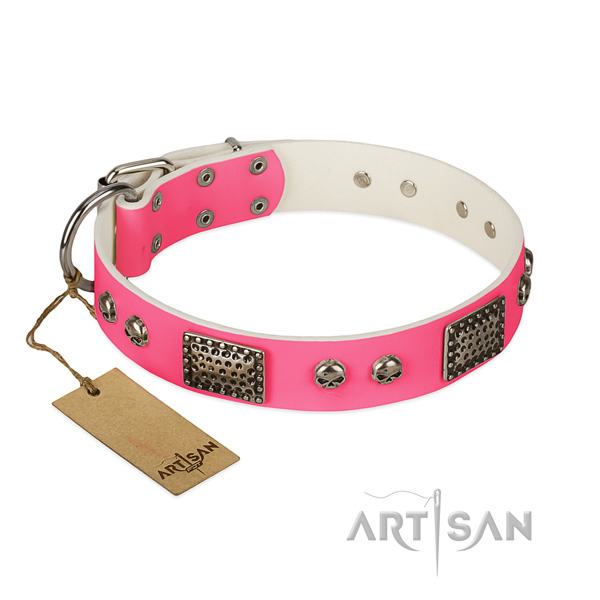 Easy adjustable leather dog collar for walking your canine