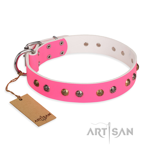 Fancy walking easy to adjust dog collar with strong traditional buckle