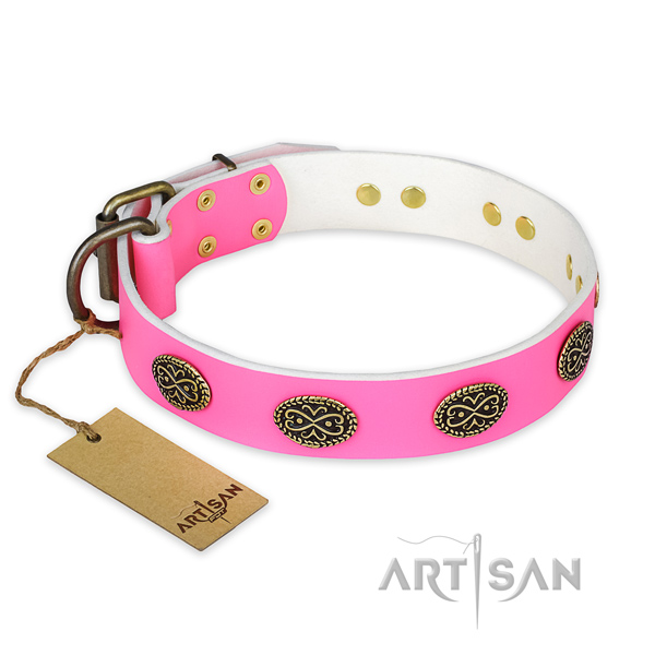 Awesome full grain leather dog collar for stylish walking