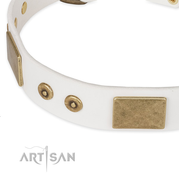Reliable embellishments on full grain natural leather dog collar for your doggie